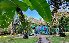 Bocawina Rainforest Resort